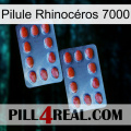 Pilule Rhinocéros 7000 05